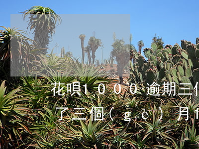 花唄1000逾期三個(gè)月(花唄逾期了三個(gè)月1000塊錢(qián)還了沒(méi)事吧)