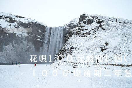 花唄100元逾期1個(gè)月(欠了花唄1000塊逾期三年怎么到1800)