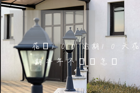 花唄100逾期10天(花唄欠款100元逾期半年不還會怎樣?)