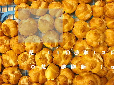花唄11月逾期12月的能先還嗎-2020花唄逾期新規(guī)定11月份