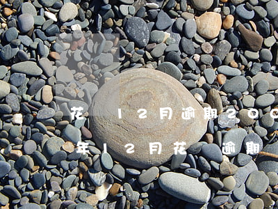 花唄12月逾期2000的圖片-2020年12月花唄逾期圖片
