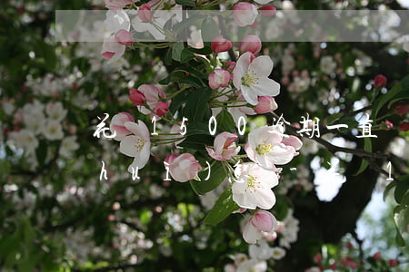 花唄1500逾期一直沒(méi)還會(huì)怎樣-花唄1500逾期1個(gè)月會(huì)產(chǎn)生多少費(fèi)用