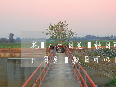 花唄15日是還款日可以當天還嗎-花唄15日是還款日可以當天還嗎