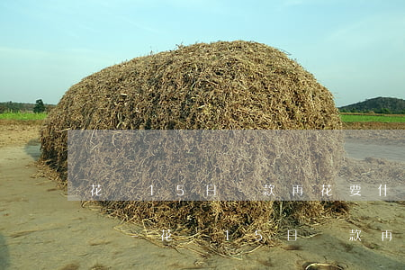 花唄15日還款再花要什么時(shí)候還-花唄15日還款再花要什么時(shí)候還款