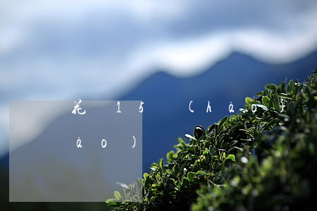花唄15號(hào)還款可以10號(hào)還嗎-