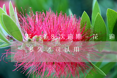 花唄18次逾期-花唄逾期18天才還完要多久才可以用?