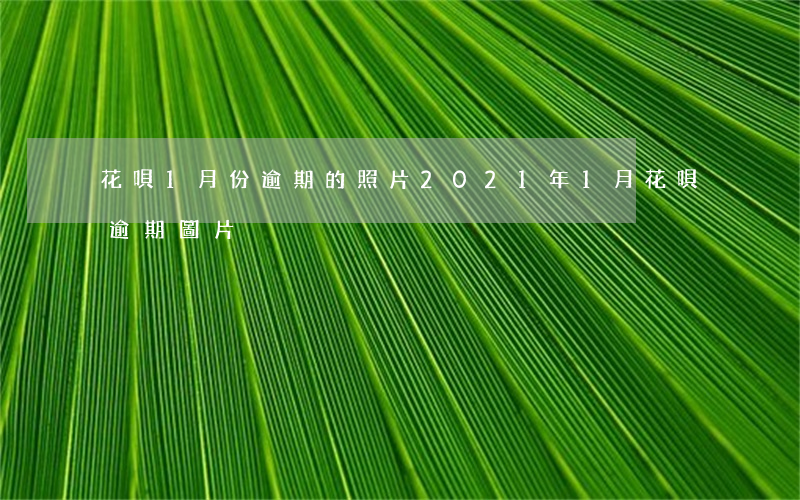 花唄1月份逾期的照片(2021年1月花唄逾期圖片)