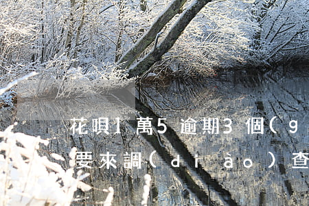 花唄1萬5逾期3個(gè)月了,打電話說要來調(diào)查怎么辦（花唄1萬5逾期）