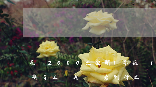花唄2000元逾期1年(花唄1000元逾期了三個月應該受到什么處罰)
