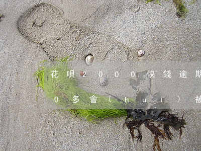 花唄2000快錢逾期(花唄逾期金額2000多會(huì)被上門催收嗎)