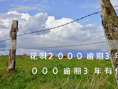 花唄2000逾期3年有什么后果-花唄2000逾期3年有什么后果呢