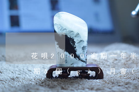 花唄2000逾期一年半(花唄欠2000逾期5個(gè)月會(huì)不會(huì)被起訴)