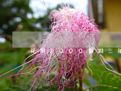 花唄2000逾期三年多少利息-