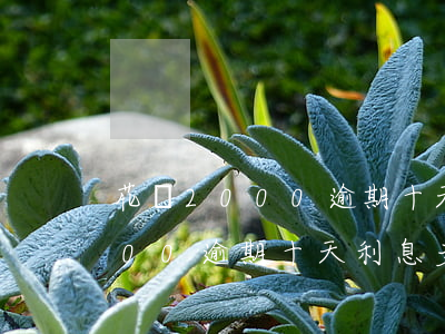 花唄2000逾期十天利息多少-花唄2000逾期十天利息多少錢