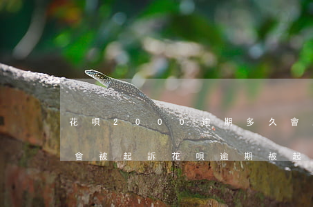 花唄2000逾期多久會起訴(花唄逾期多久會被起訴?花唄逾期被起訴)