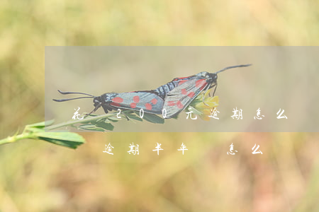 花唄200元逾期怎么樣(花唄欠了800塊錢,逾期半年會怎么樣?)