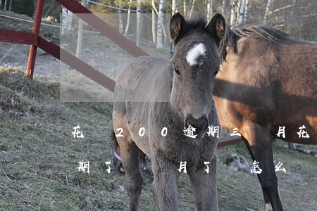花唄200逾期三個月(花唄逾期兩千塊錢 逾期了幾個月了會怎么樣)