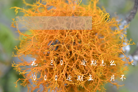 花唄20萬逾期怎么協(xié)商(花唄2000逾期五個月不還會有什么后果)