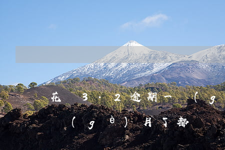花唄3.2逾期一個(gè)月(花唄逾期三個(gè)月了,都兩個(gè)月了,都開(kāi)通不了)