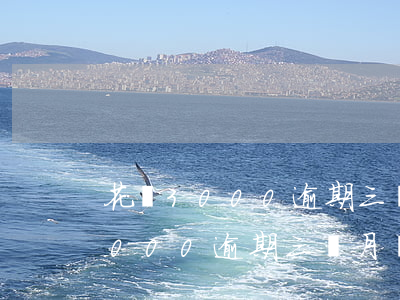 花唄3000逾期三個月會怎么樣-花唄3000逾期三個月會怎么樣嗎