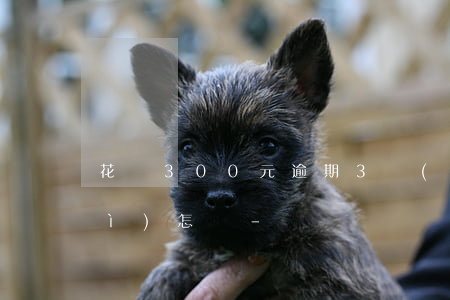 花唄300元逾期3個(gè)月會(huì)怎樣-