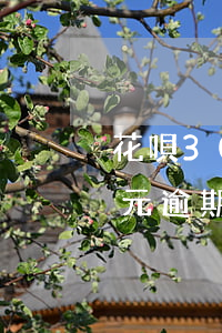 花唄300元逾期一個(gè)(花唄300元逾期一個(gè))