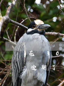 花唄300多塊錢逾期了(花唄300多塊錢逾期了)