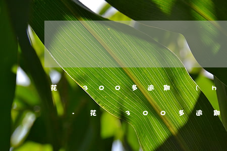 花唄300多逾期會(huì)打電話家人嗎-花唄300多逾期會(huì)打電話家人嗎知乎