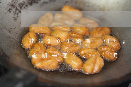 花唄300逾期一個(gè)月(花唄300逾期一個(gè)月)