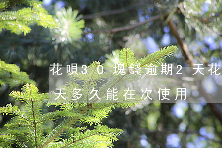 花唄30塊錢逾期2天(花唄三百多逾期二十天多久能在次使用)