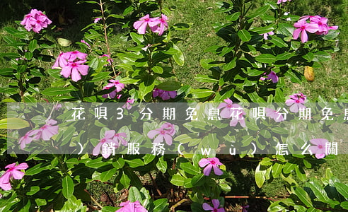 花唄3分期免息 花唄分期免息營(yíng)銷服務(wù)怎么關(guān)閉