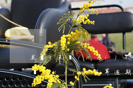 花唄3天內(nèi)不算逾期的 花唄3天內(nèi)不算逾期的情況