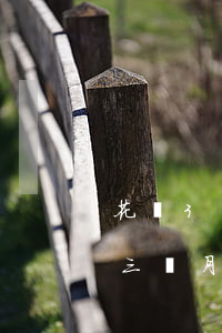花唄3萬逾期后如何恢復(花唄6000逾期三個月以內(nèi)可以恢復額度嗎)
