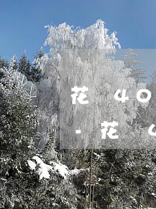 花唄4000逾期三個(gè)月利息多少-花唄4000逾期三個(gè)月利息多少啊