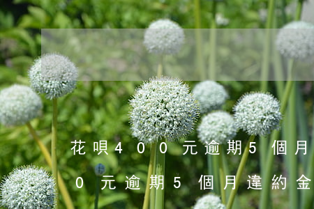 花唄400元逾期5個月違約金-花唄400元逾期5個月違約金多少