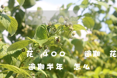 花唄400塊錢逾期會(花唄欠了800塊錢,逾期半年會怎么樣?)