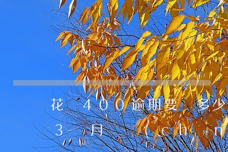 花唄400逾期要還多少(花唄1500逾期3個月會產(chǎn)生多少費用)