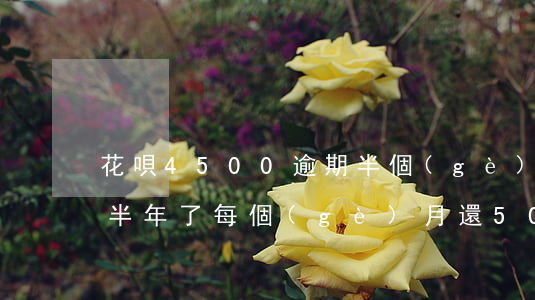 花唄4500逾期半個(gè)月(花唄逾期半年了每個(gè)月還500進(jìn)去可以嗎)