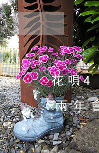 花唄4千逾期兩年會上征信嗎 花唄4千逾期兩年會上征信嗎