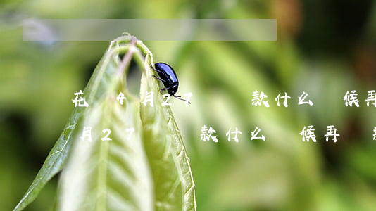 花唄4月27號還款什么時候再還-花唄4月27號還款什么時候再還款