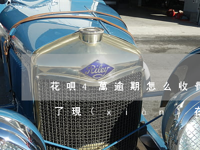 花唄4萬逾期怎么收費(花唄的錢逾期4個月了現(xiàn)在沒能力償還怎么辦)