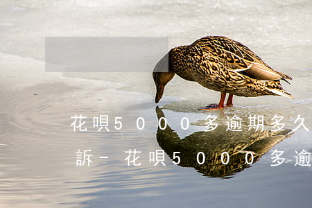 花唄5000多逾期多久會(huì)被起訴-花唄5000多逾期多久會(huì)被起訴呢
