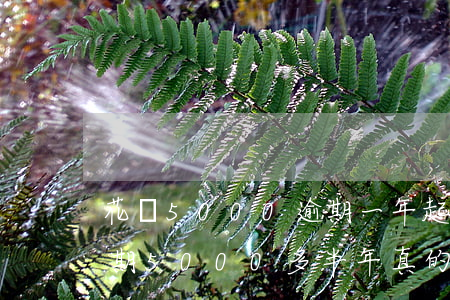 花唄5000逾期一年起訴-支付寶花唄逾期5000多半年真的會被起訴嗎?