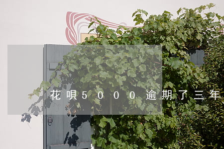 花唄5000逾期了三年