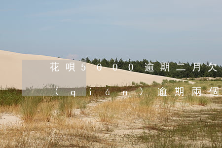 花唄5000逾期二月(欠花唄5000塊錢(qián)逾期兩個(gè)月沒(méi)還上客服要起訴我了嗎)