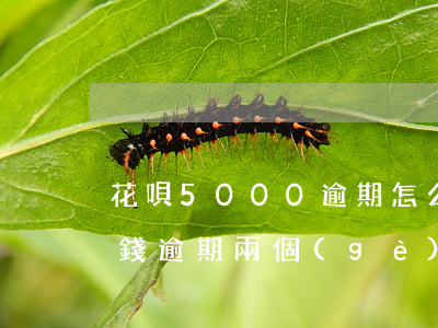 花唄5000逾期怎么辦(欠花唄5000塊錢逾期兩個(gè)月沒(méi)還上客服要起訴我了嗎)