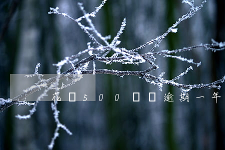 花唄500塊錢逾期一年