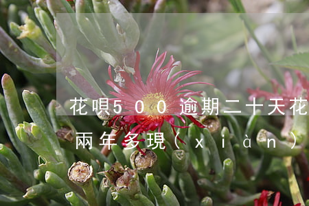 花唄500逾期二十天(花唄欠了50逾期了兩年多現(xiàn)在應(yīng)該還多少)