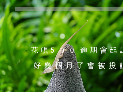 花唄500逾期會起訴嗎(花唄欠500逾期好幾個月了會被投訴嗎)