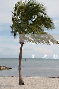 花唄50逾期還款會(huì)怎樣(花唄40逾期會(huì)怎么樣)